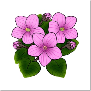 Pink African Violets in White Posters and Art